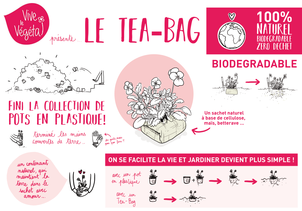 planche-tea-bag-pour-ppt